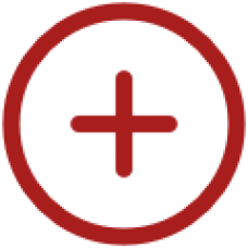 icon-plus